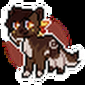 Meet your Posher, Super